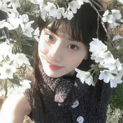 闪光的羽毛